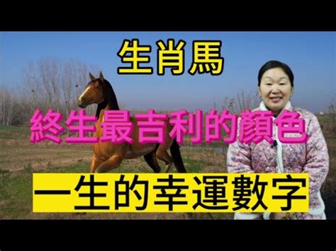 馬的幸運數字|屬馬人的幸運數字有什麼意義？深入解析屬馬人的運勢與數字